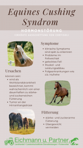Equine Cushing Syndrom