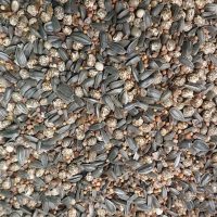 Bunte Bienenmischung Bunte Bienenmischung